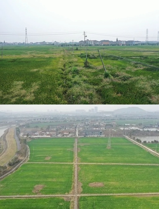 浙江理清蜘蛛网扮靓美丽乡村