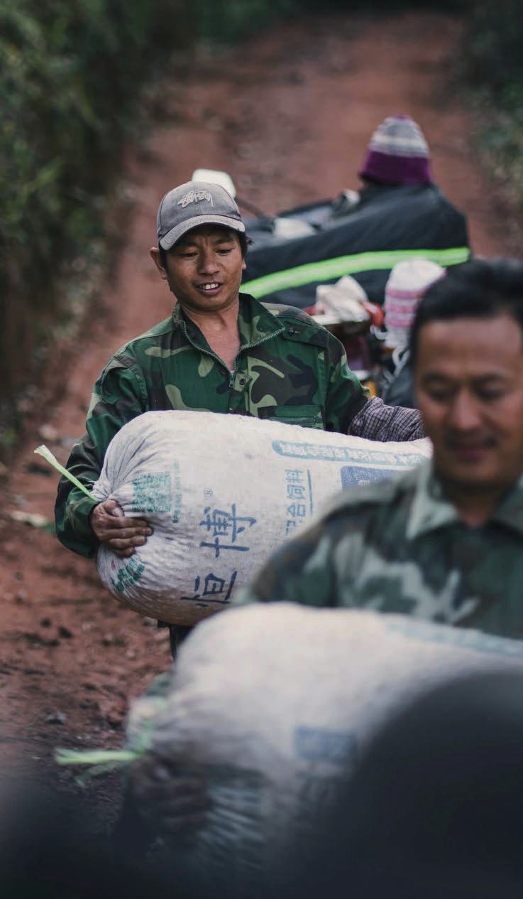 来自彩云之南的那股"香",迷住了美国小伙,河南汉子,上海公益人