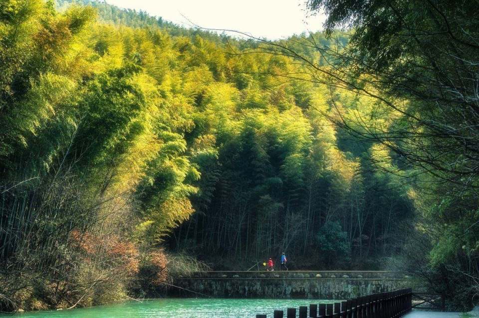 探寻石塘竹海——隐藏在南京的踏青秘境_腾讯新闻