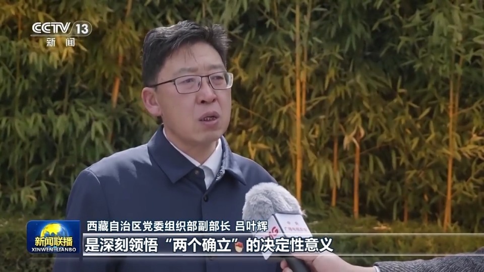 西藏自治区党委组织部副部长 吕叶辉:开展党纪学习教