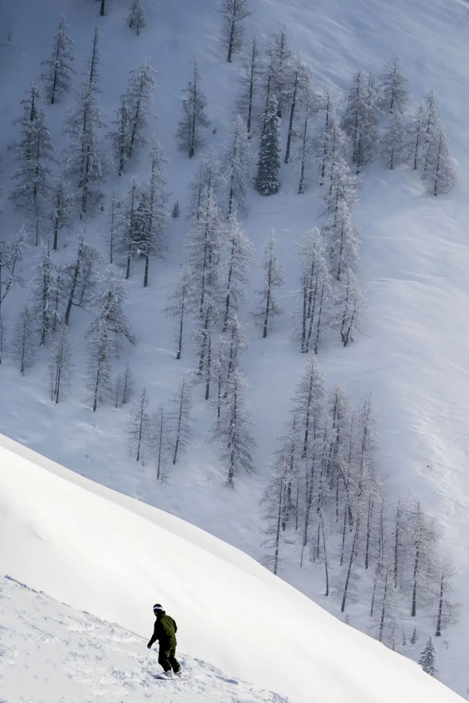阿勒泰已经下雪了！_腾讯新闻