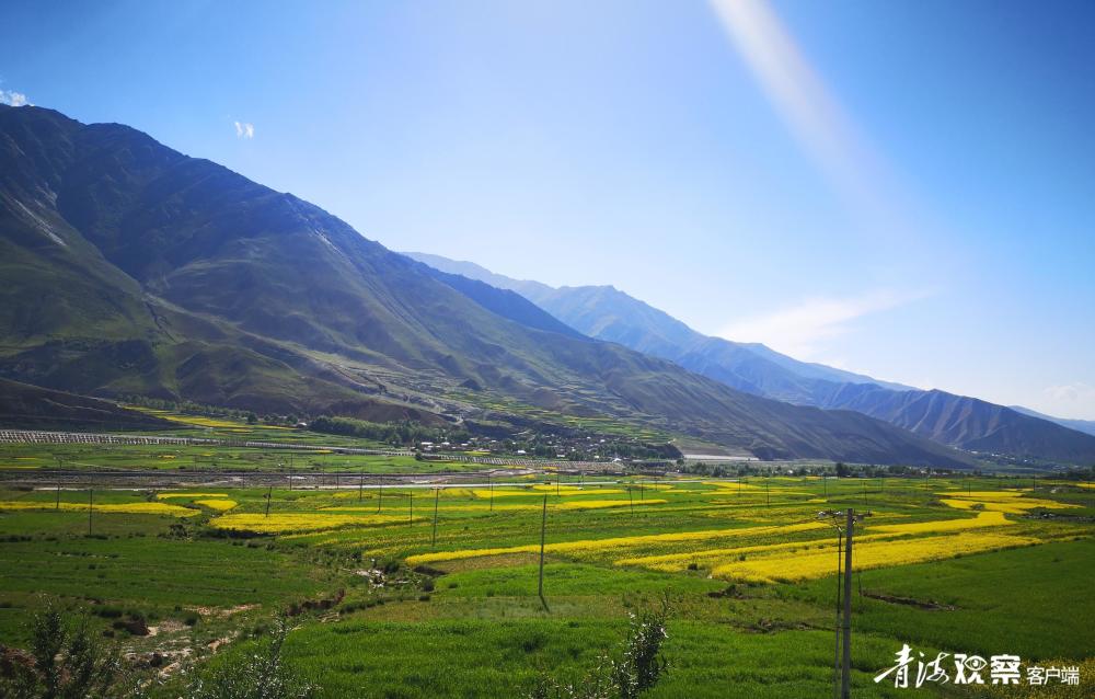 行走达力加山-腾讯新闻