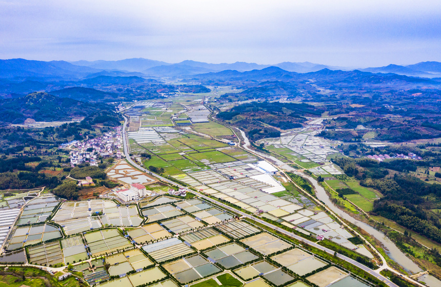 江西南丰:美丽乡村新画卷