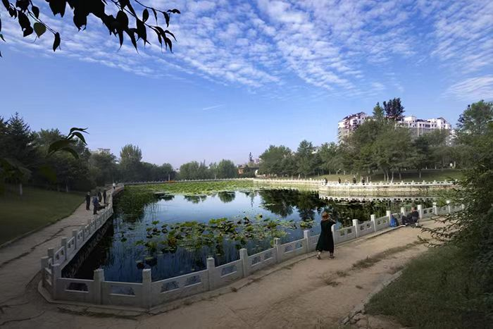 首山新韵  城市焕新——辽阳县下足"绣花"功夫  改善城市环境