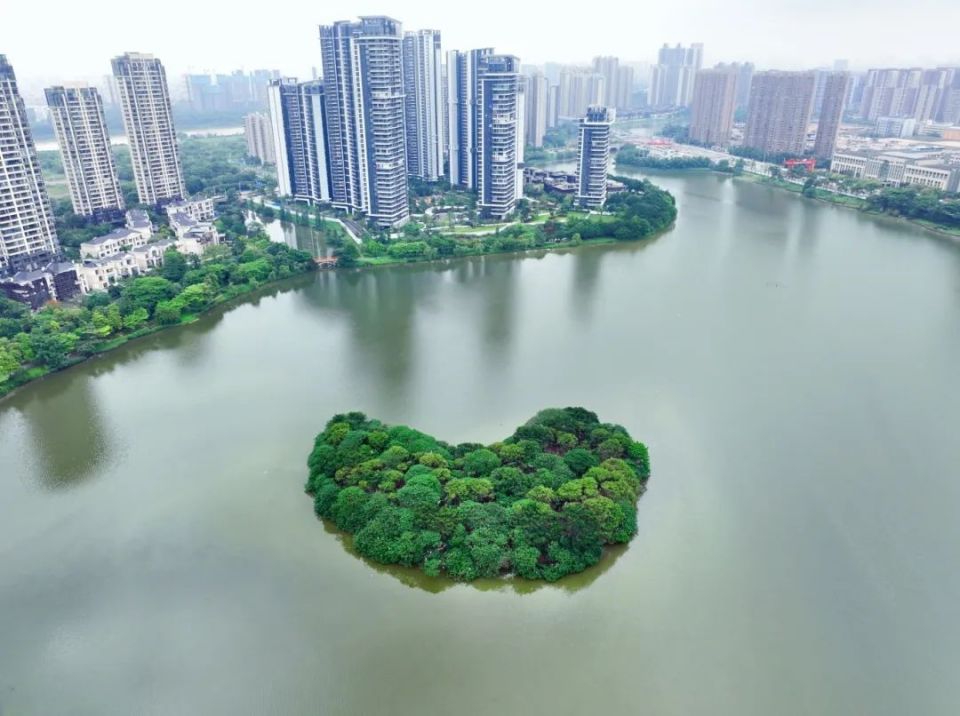 初夏时节,广东省环境教育基地——绿岛湖公园绿树成荫,生机盎然.