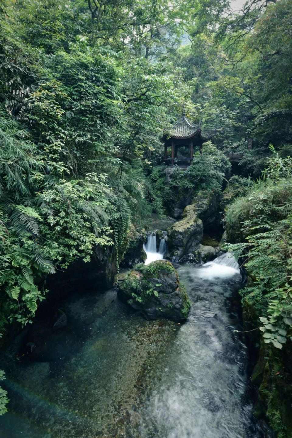 峨眉山赏花,徒步路线推荐!五一就要这样耍
