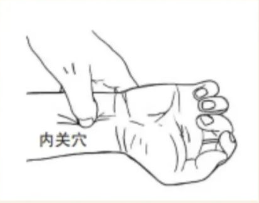 内关,属于心包经,腕掌侧远端横纹上2寸,掌长肌腱与桡侧腕屈肌腱之间.