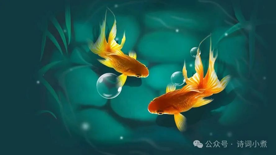 俗话说"水至清则无鱼",下半句才是精华,点破做人的大智慧!