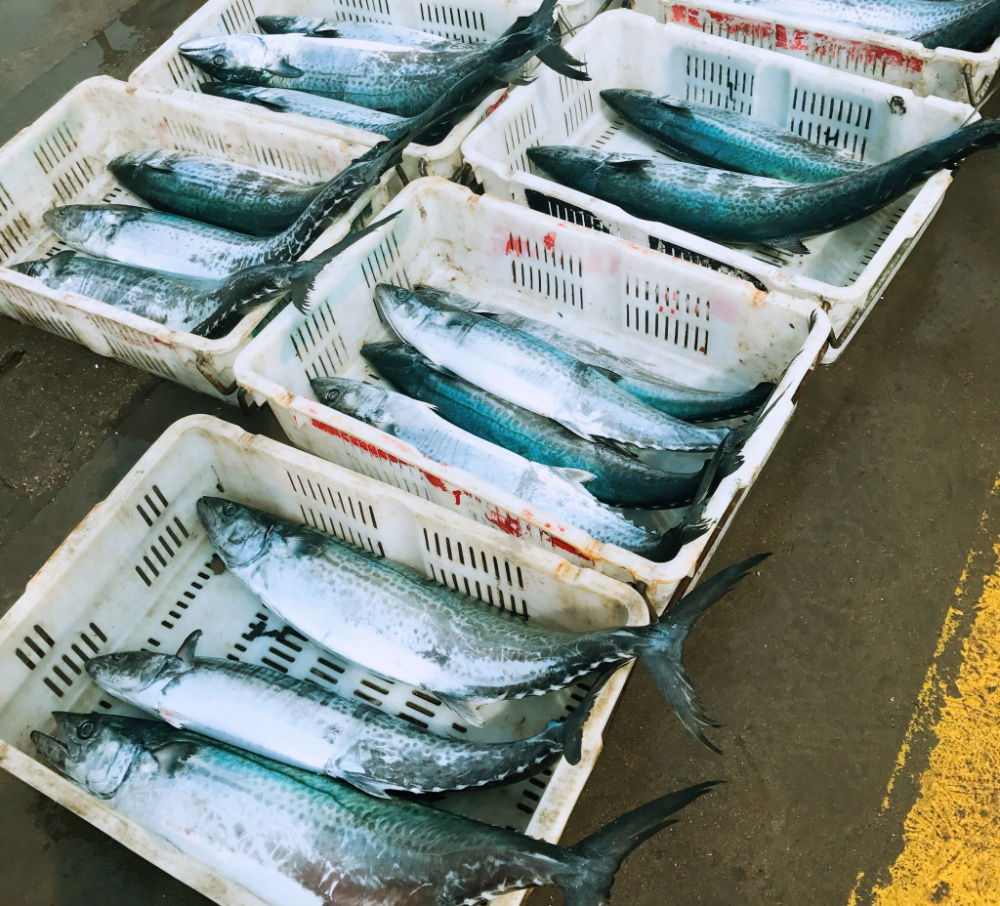 浪漫举办,届时岛城大学生乐队和歌手将到场献唱,崂山921主播现场主持