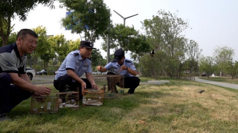 两男子捕鸟被北京通州警方刑事拘留 其中4只鸟属国家二级重点保护野生