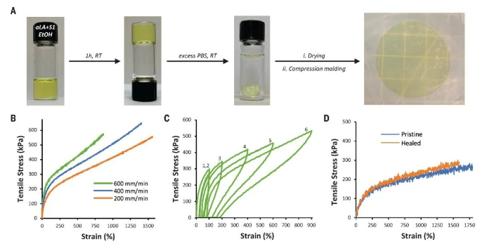 医用粘合剂叫什么名字医用高分子粘合剂登上《Science》_https://www.jmylbn.com_新闻资讯_第2张