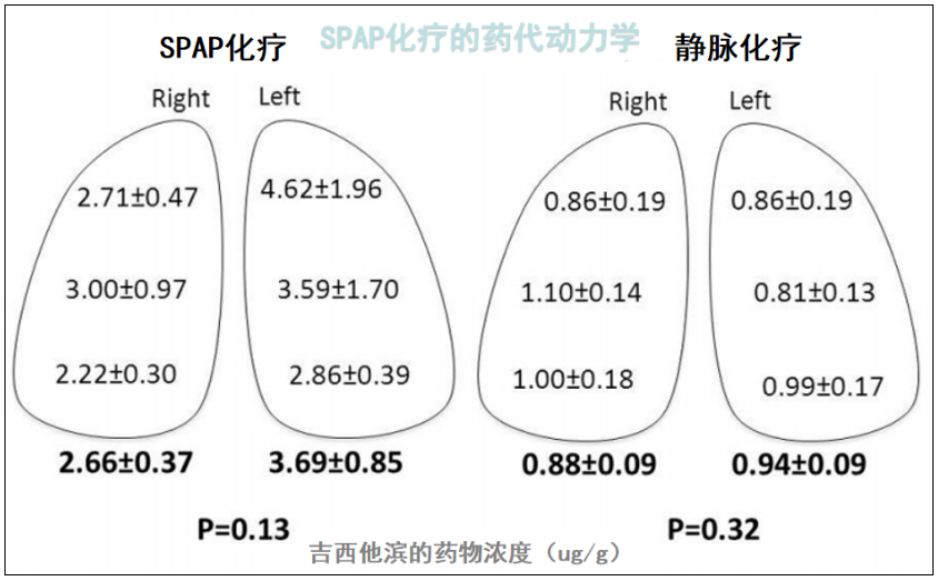 吉西他滨原研药图片