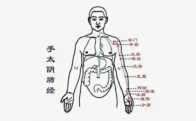 中医养生拍打穴位(传统中医养生拍打操)