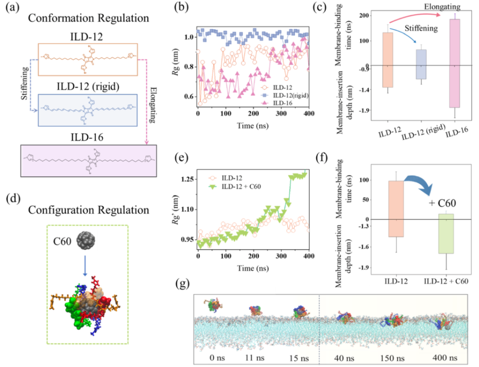 液体基怎么抗菌苏州大学杨凯教授／松山湖材料实验室元冰研究员《ACS Nano》：破解离子液体衍生物抗菌机制_https://www.jmylbn.com_新闻资讯_第7张