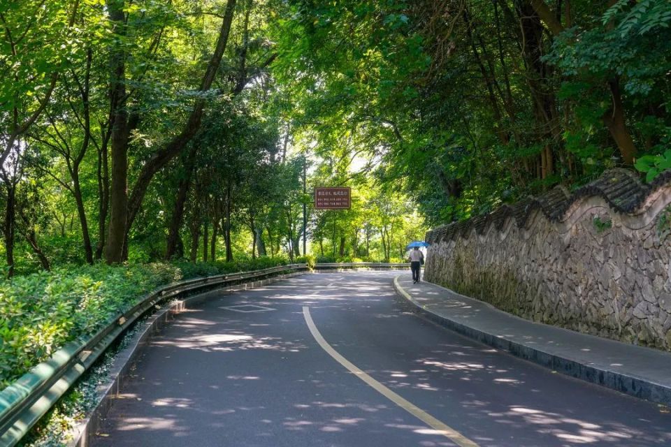 温州雪山路图片