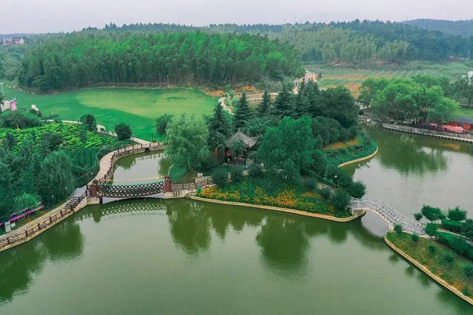 竹乡的夏日 ,适合约上美食"搭子",趣享康养之旅