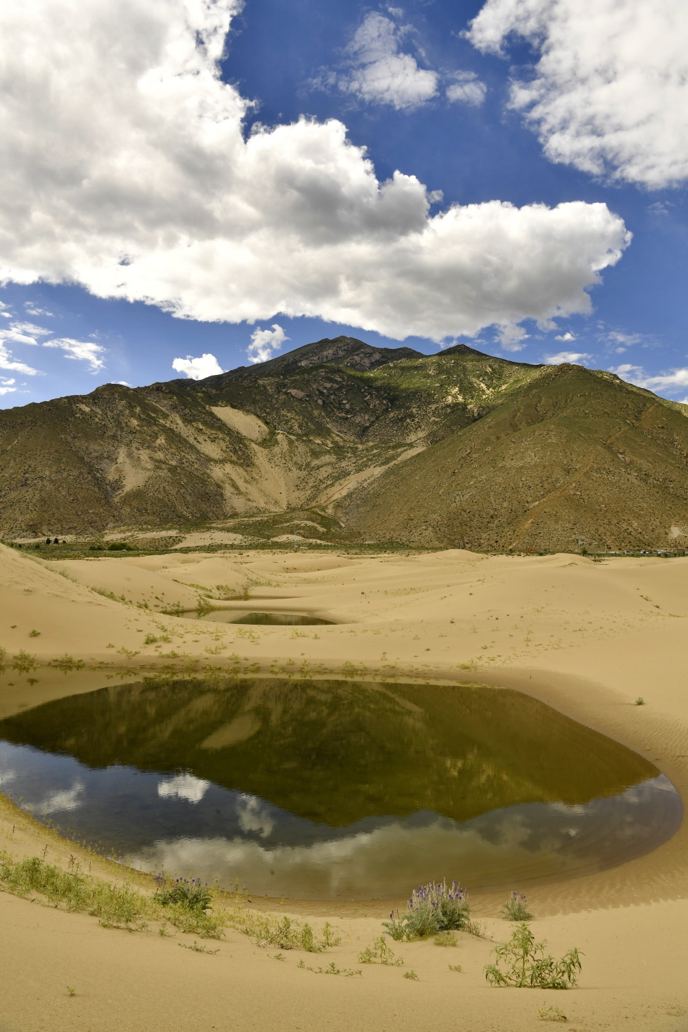 西藏扎囊国家沙漠公园引客来