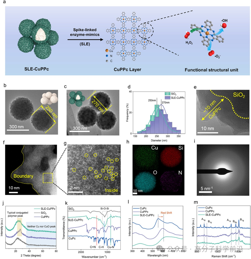 抗菌水凝胶怎么操作四川大学马朗、程冲、罗红团队《AFM》可注射刺状人工过氧化物酶复合水凝胶，用于生物适应性和协同对抗子宫内膜感染_https://www.jmylbn.com_新闻资讯_第3张