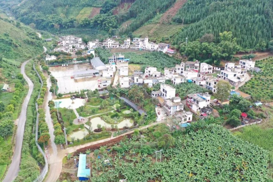 长宁与金平携手打造了一批"和美乡村"示范点!