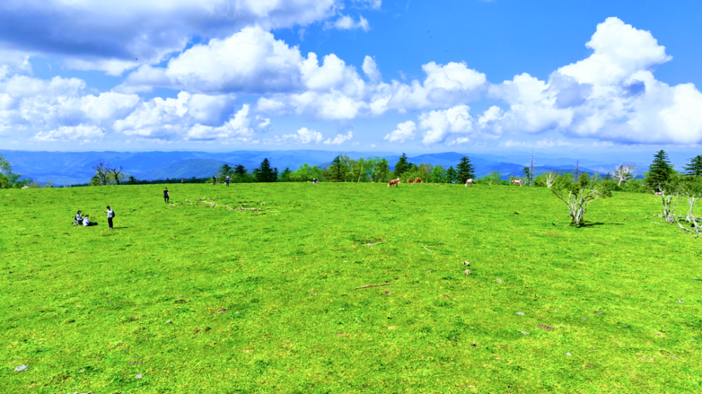 行走在吉林丨桦甸有美景——藏在深山中的高山花园