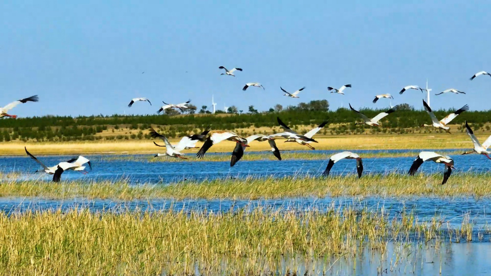 千城胜景吉林洮南四海湖之美