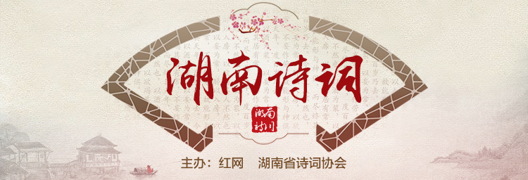 观西洞庭湖湿地天地悠悠水作襟,芦花逐浪入云深.