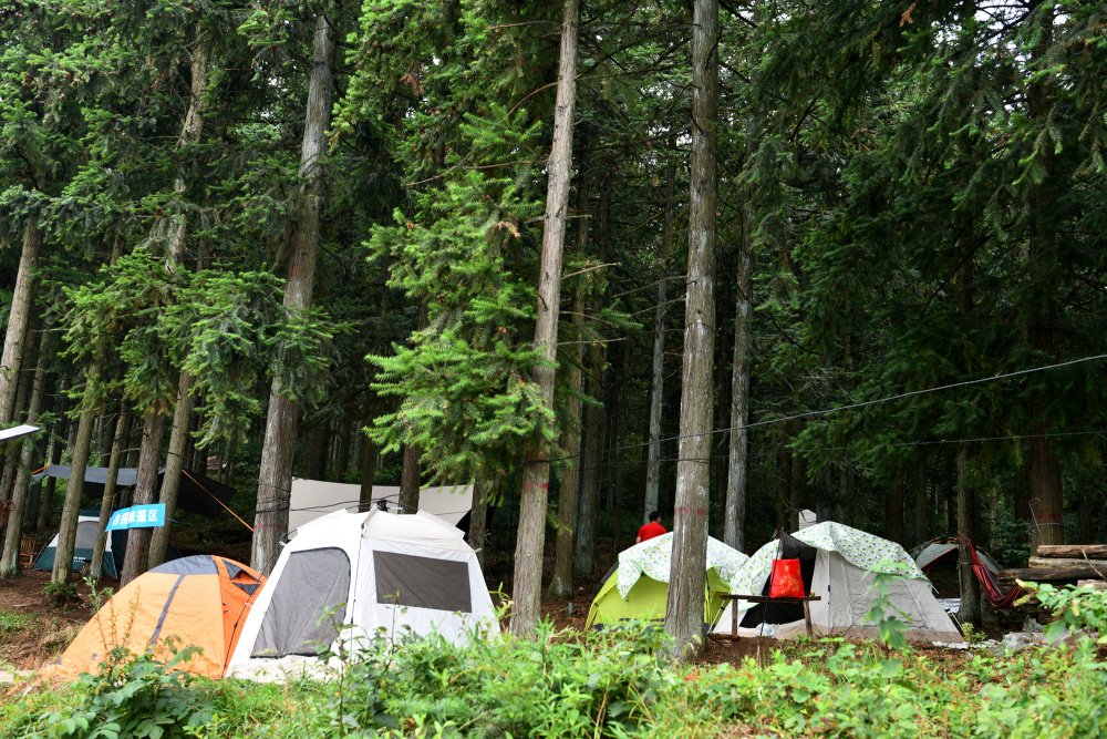联"县"热推丨在家门口邂逅诗和远方 小小帐篷打开县域旅游新天地