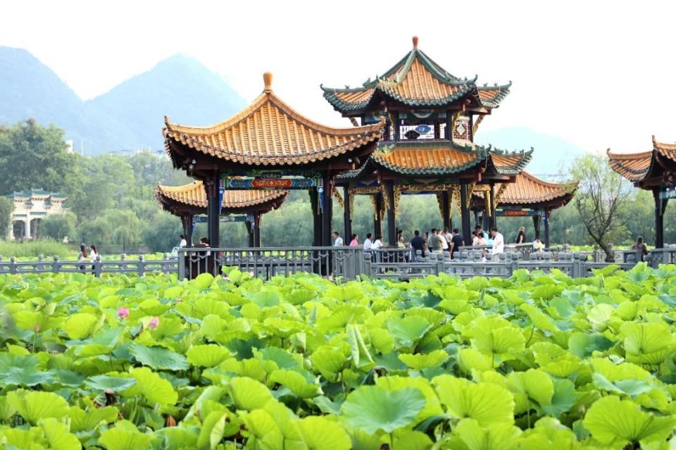 接天莲叶无穷碧,映日荷花别样红