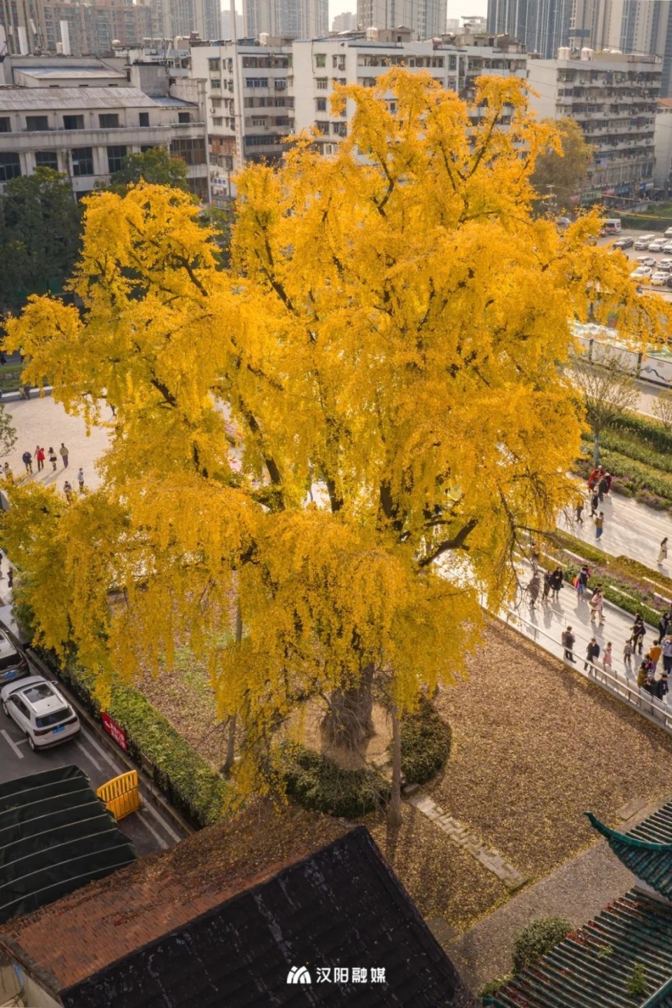 汉阳这个公园入选全省最美