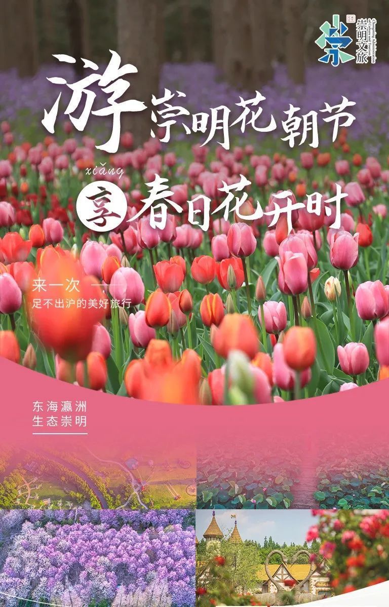 2023崇明花朝节3月23日启幕精彩内容看过来