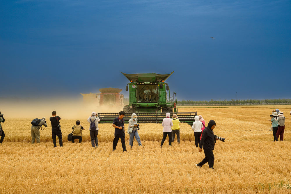 百名摄影师走进田间拍麦收,中原粮仓现代化收麦场面如同大片