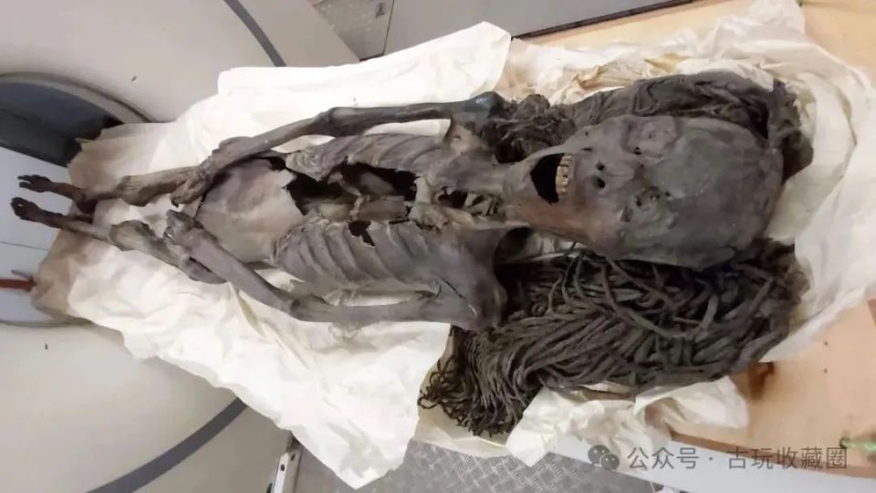 揭秘"尖叫女人"木乃伊:3500年前痛苦死亡的惊悚之谜