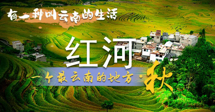 [南方生姜网-图片加载]