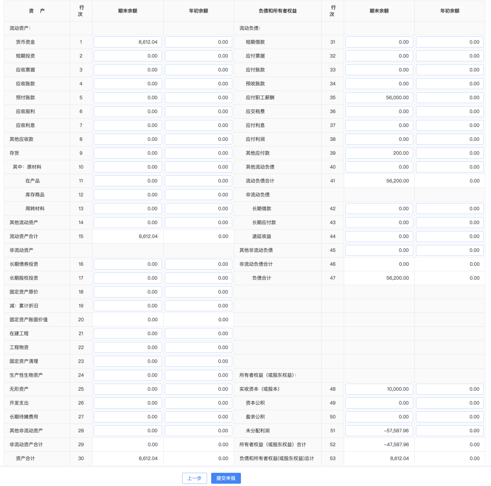 已完成填报的资产负债表截图