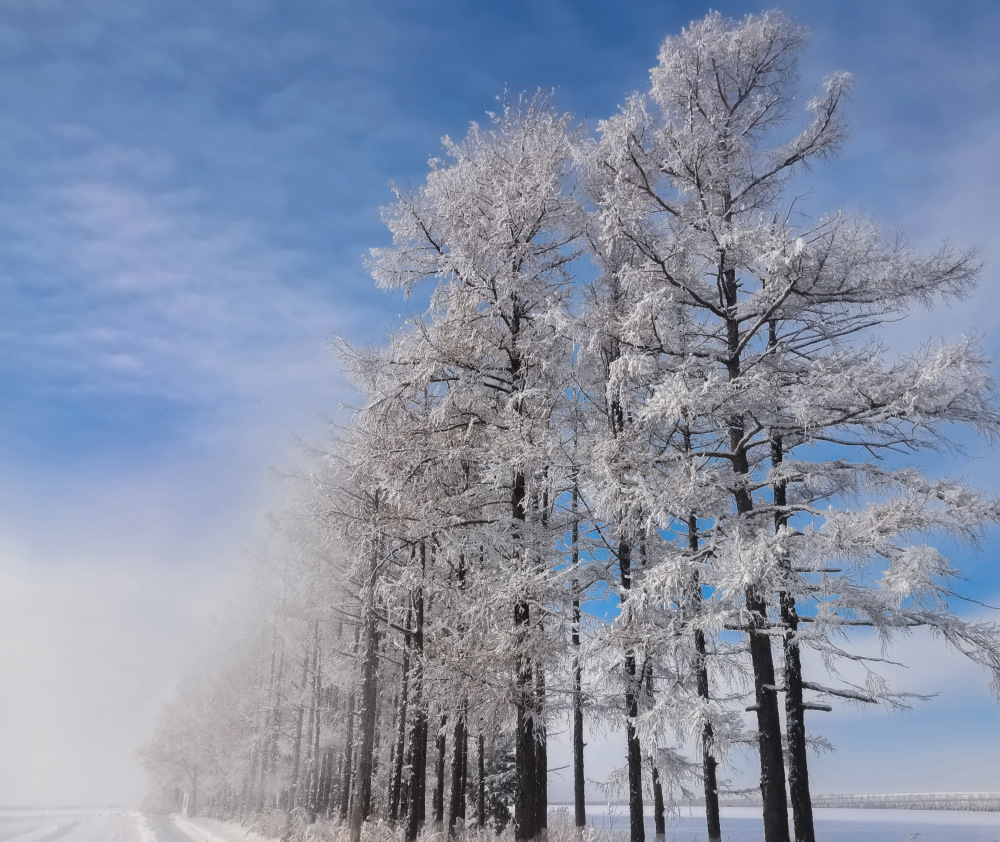 北大荒冬季雪景美如画