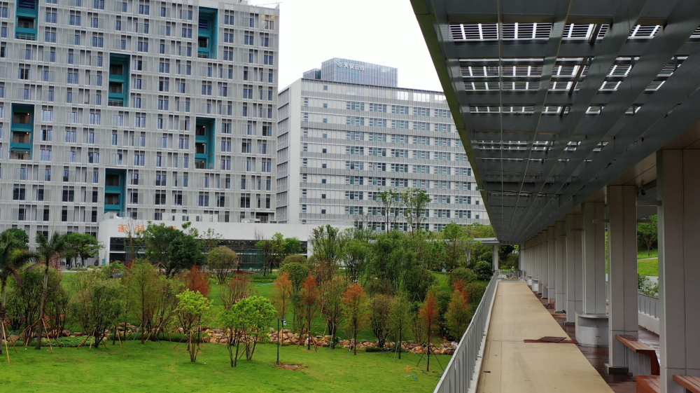 学校照片真实的大学图片