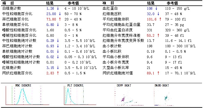 門診查血常規結果如下:案例經過急性白血病臨床起病急驟,以發熱,貧血