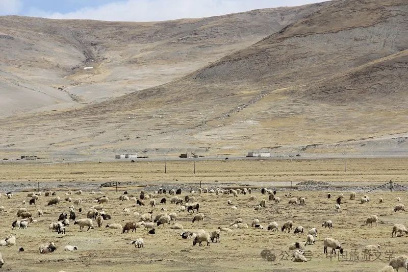 军警荷枪.民众熙攘.盖了邮戳.然后巴棋人.