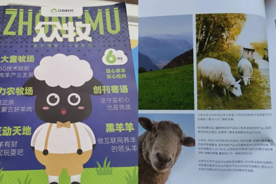 搜狐：2024年香港澳門開獎結(jié)果9年騙了6個億？自稱有60萬只羊的養(yǎng)羊理財平臺“眾牧寶”爆雷