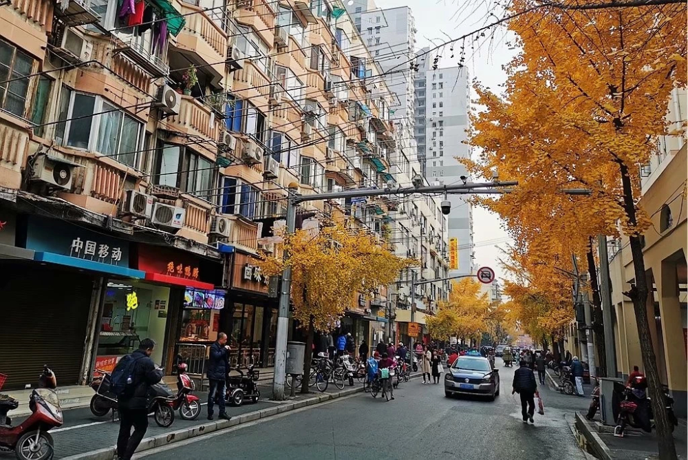 人气爆棚!上海这条南洋风情的小马路回来了!