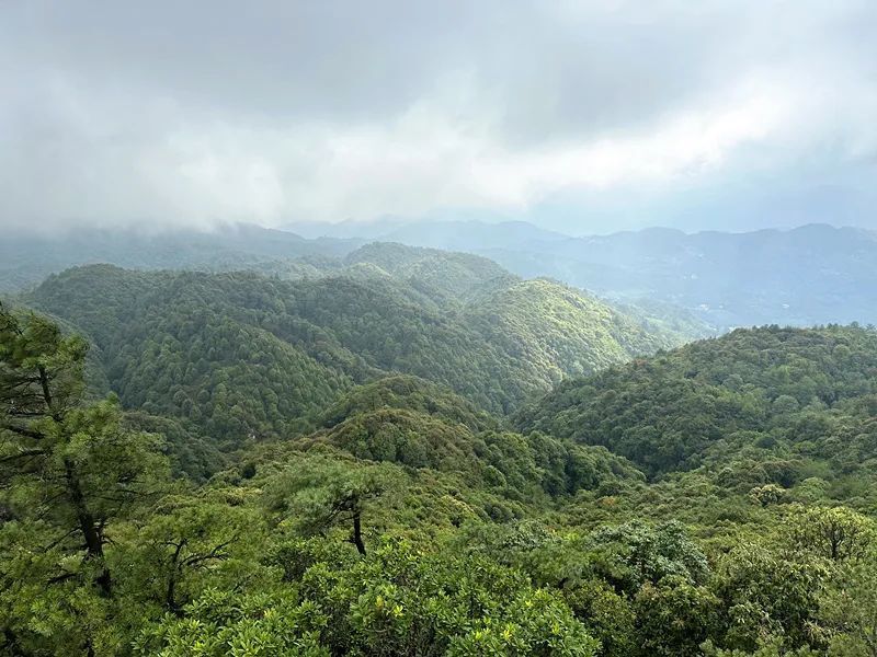 今天的大亮山,已经成了一座世人敬仰的丰碑,上面书写着一个顶天立地的