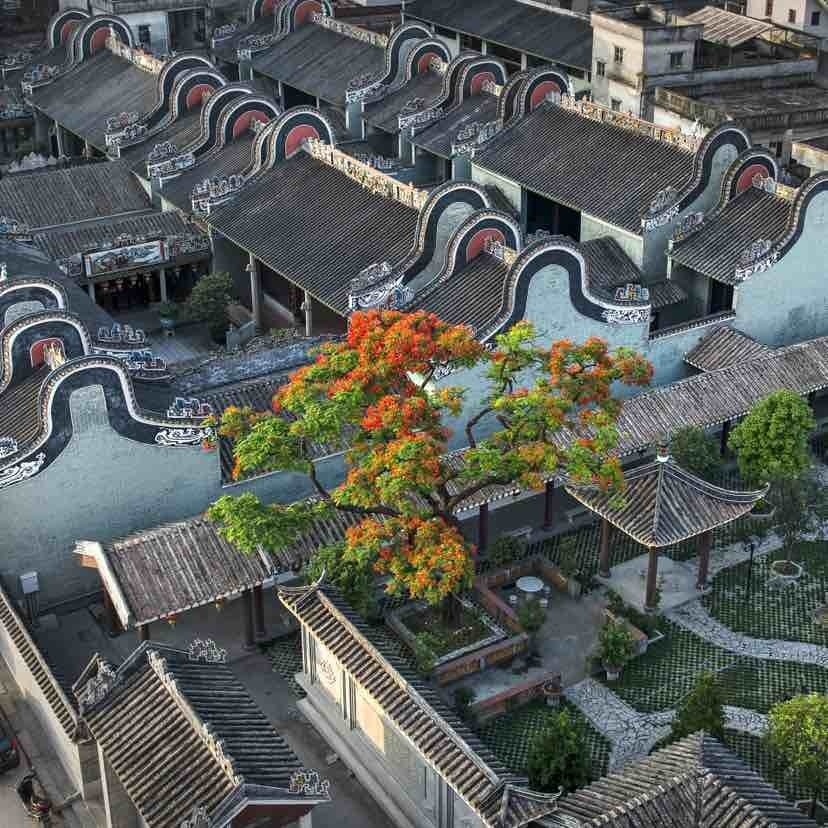 围绕龙岗村,大源村等6个省级重点典型村培育,紧盯产业发展,环境改善