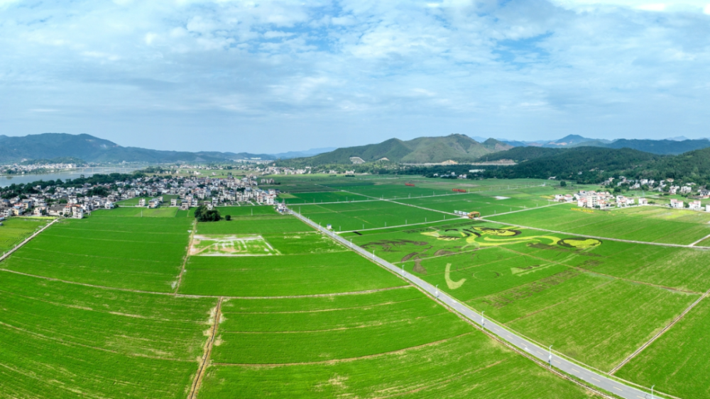 广东正开展耕地集中连片整治试点工作,支持广州市南沙区,佛山市南海区