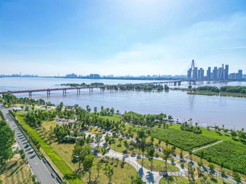 白沙洲洪山江滩今明两天进行汛后消杀