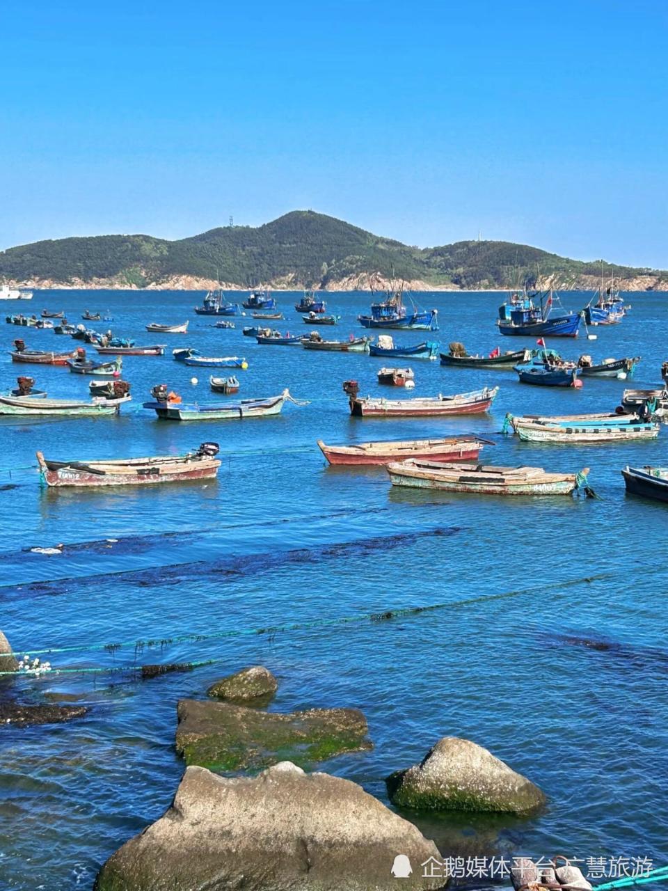 威海旅行不绕路攻略，美食与海鲜探索_腾讯新闻