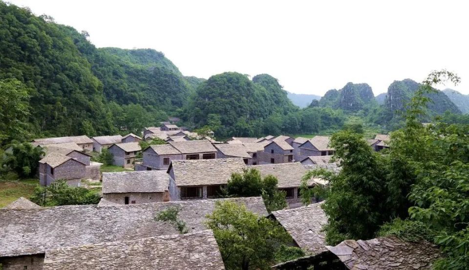 乡游黔中 | 镇宁县弄染村:六月限定,酸甜的味道"李"知道