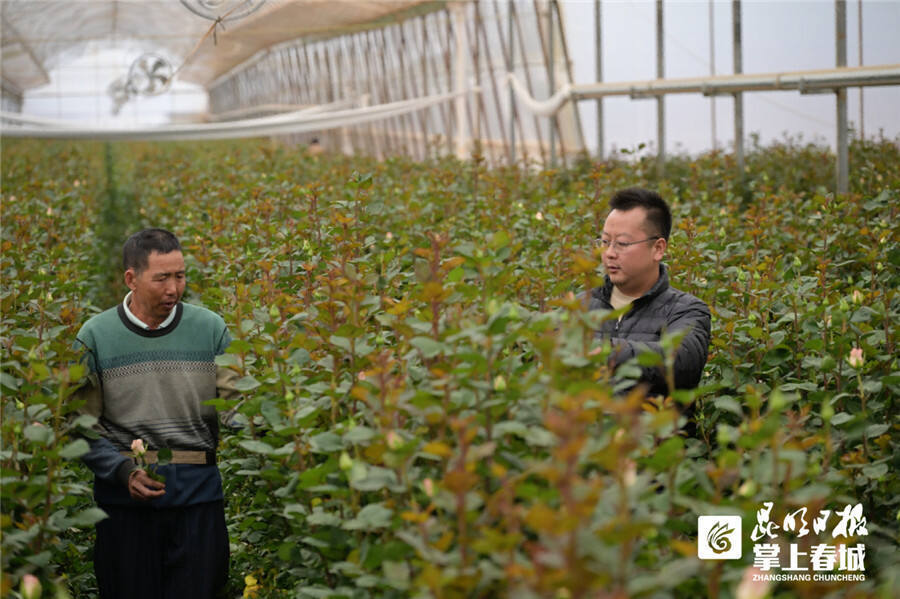 货损少叫车快价格便宜昆明斗南花农用滴滴送货灵活送花