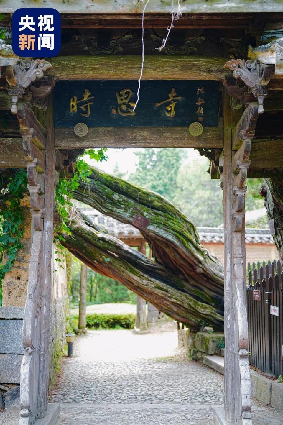 大雄宝殿,道骨仙风的马仙宫,浮云相间的心经钟楼,承载孝道的梅氏宗祠