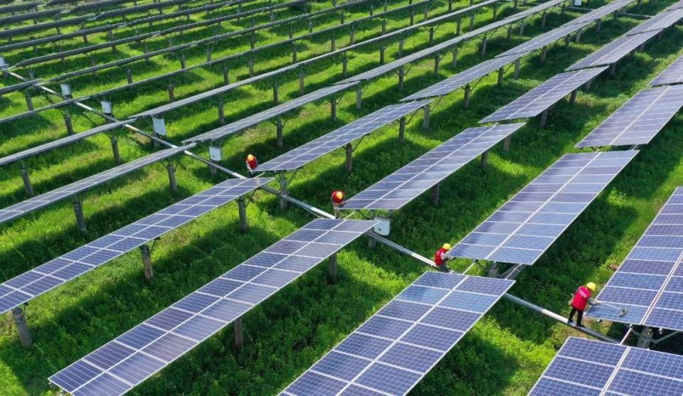 电价涨跌,谁说了算?