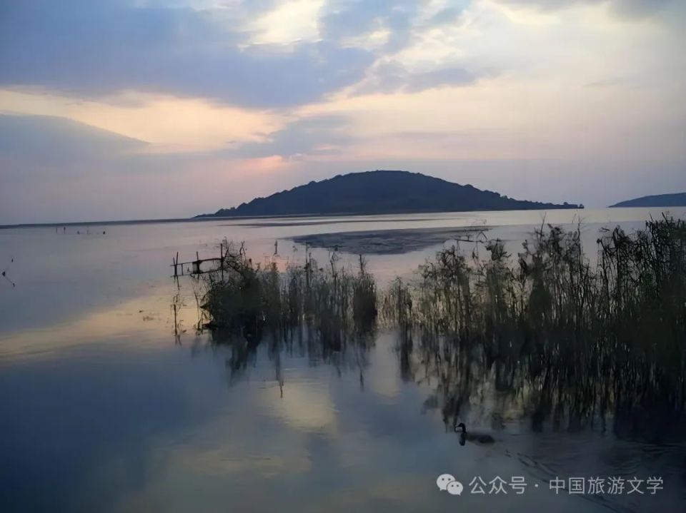 行走丨旧时朋辈寻诗处